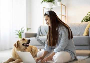 Designing a Pet-Friendly Home: 7 Tips to Ensure Your Pet’s Comfort