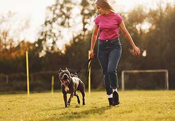 Who Are the Best Pet Sitters in New York